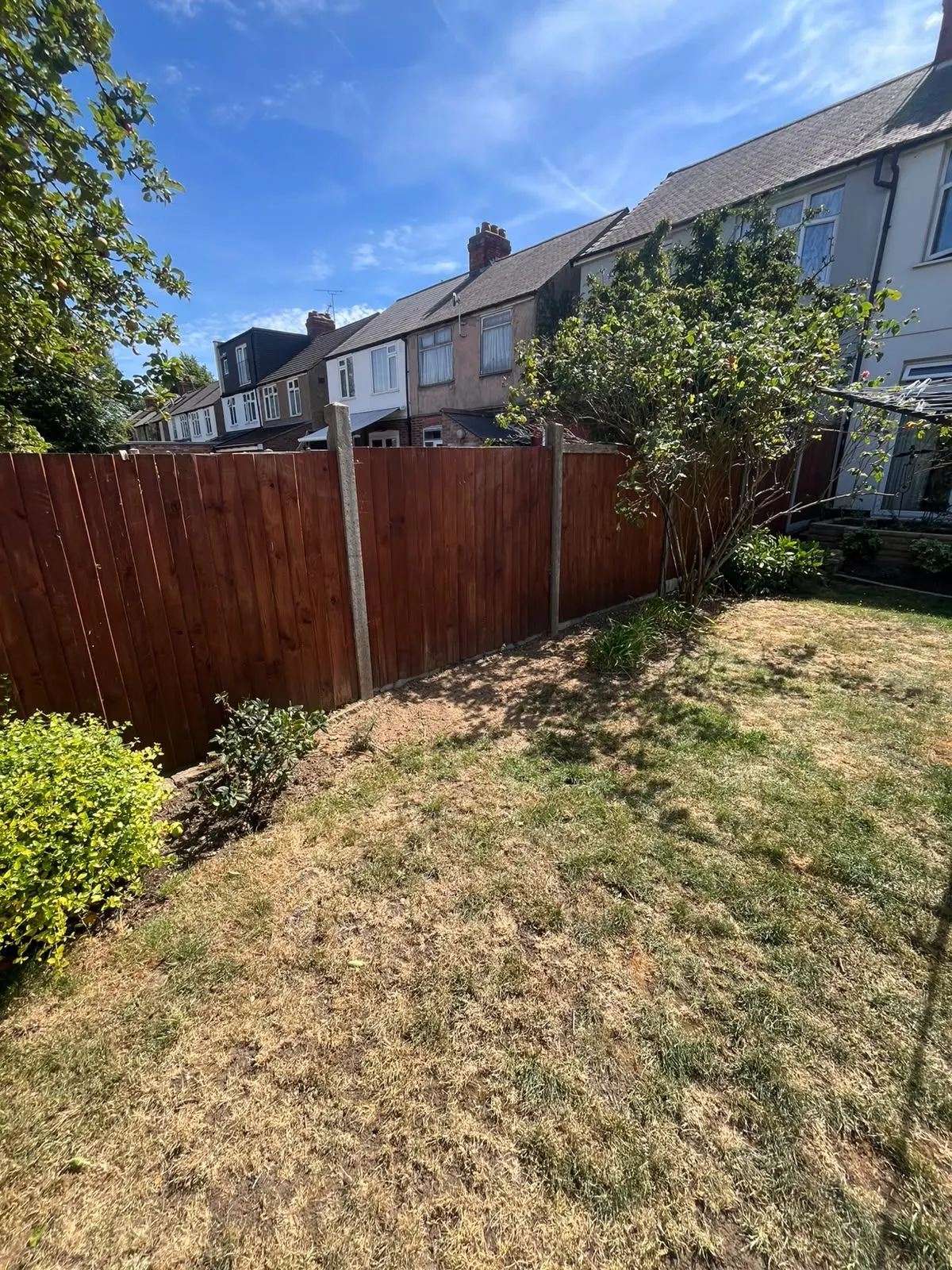The same garden fence and lawn after the palm tree was removed