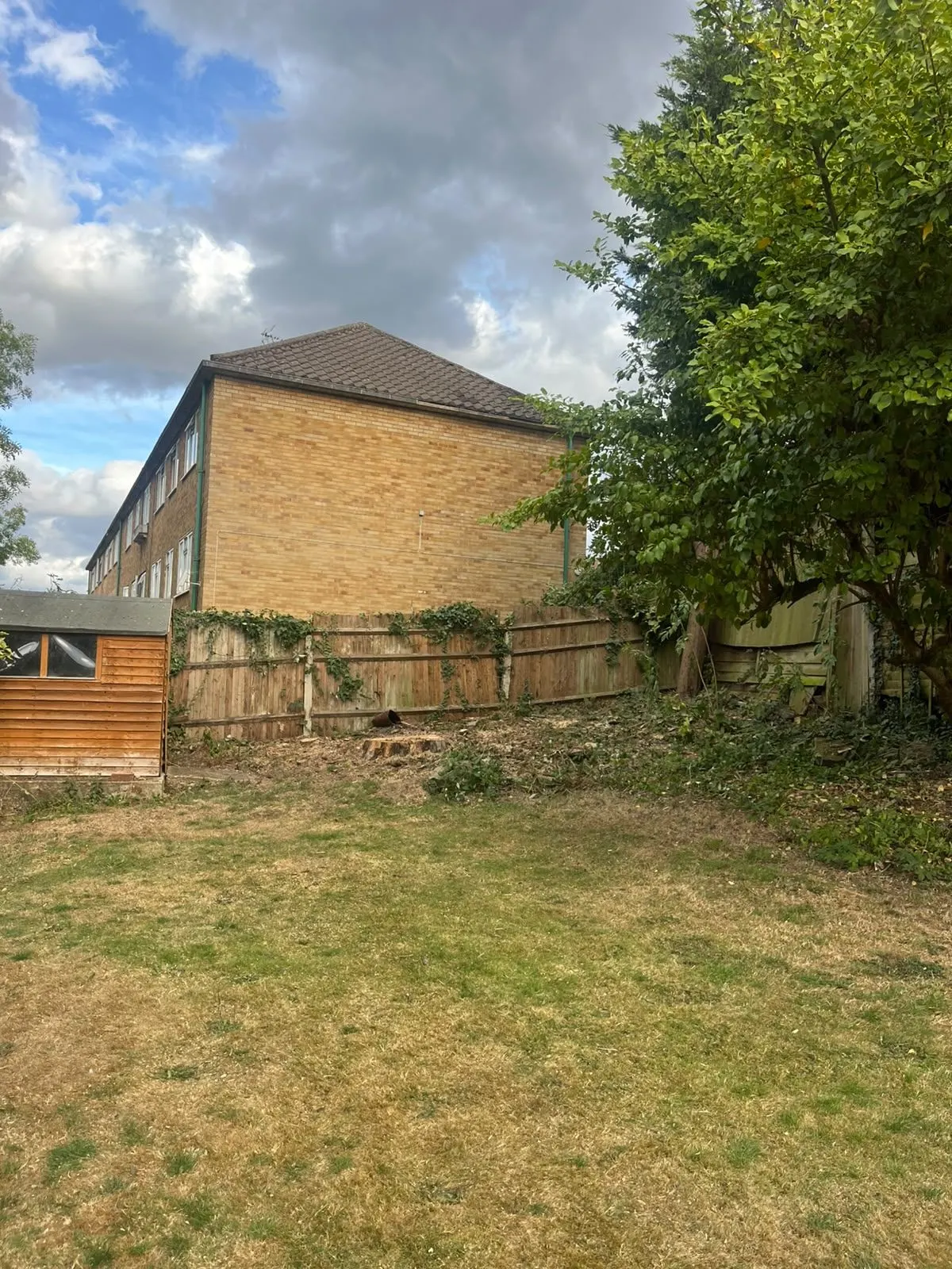 The same brick building and boundary with the target tree removed