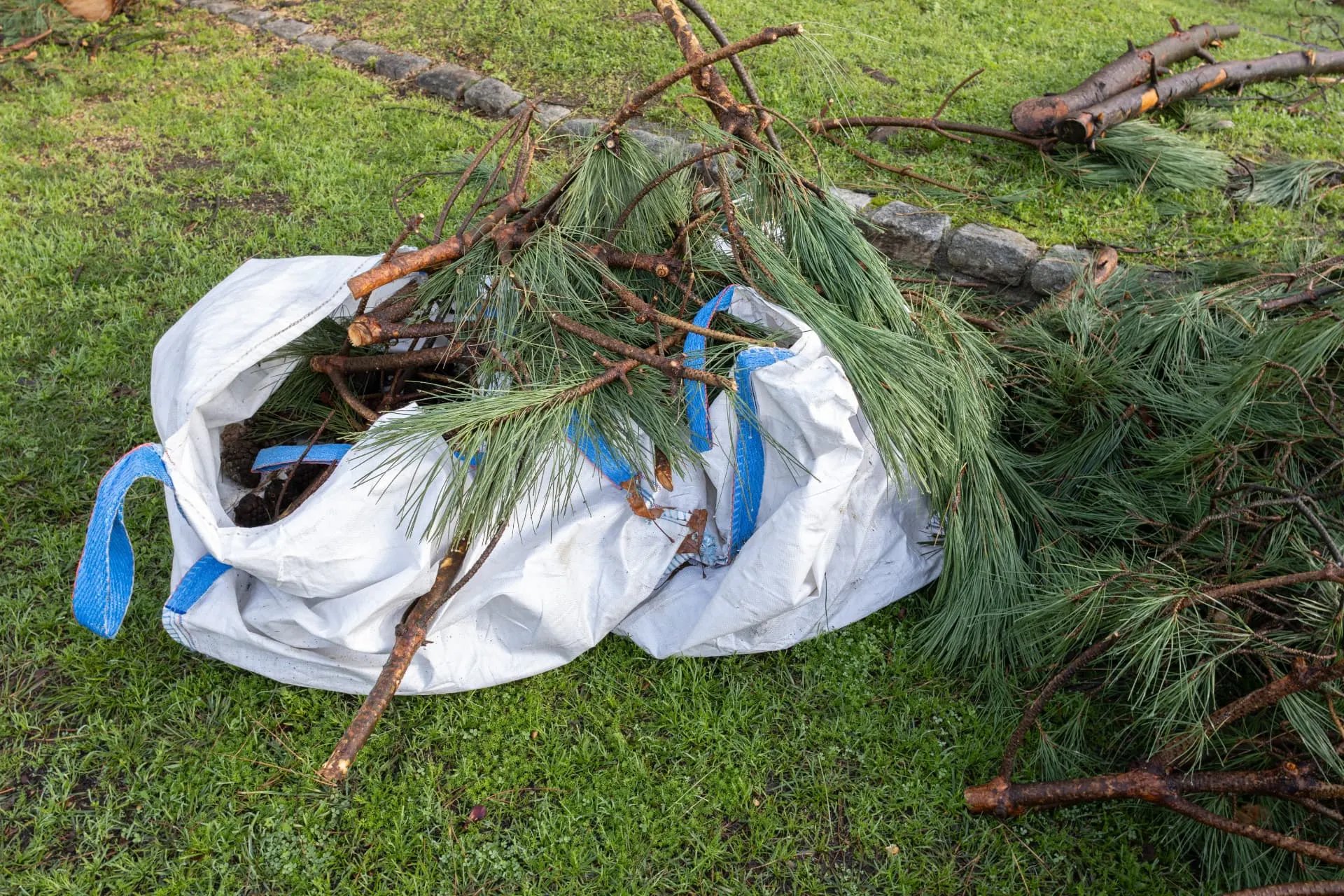Rosewood green waste removal