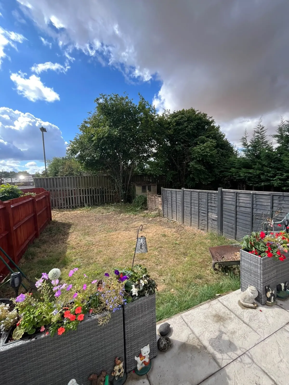 The same garden with open lawn and raised flower beds after tree removal