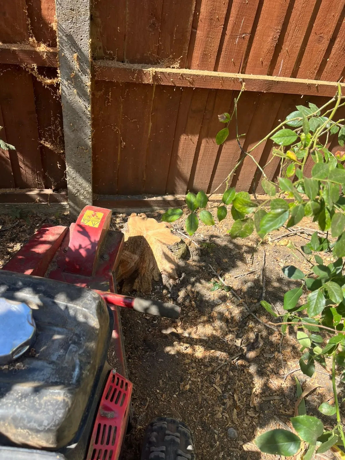 Stump grinding machine beside a tree stump and wood chips near a timber fence